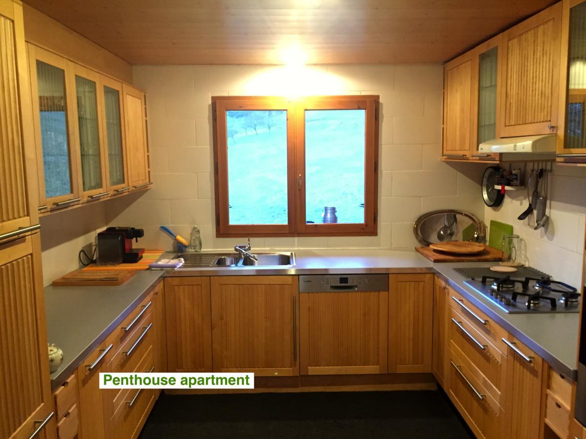 Le Green Chalet Villard-sur-Boege Exterior foto