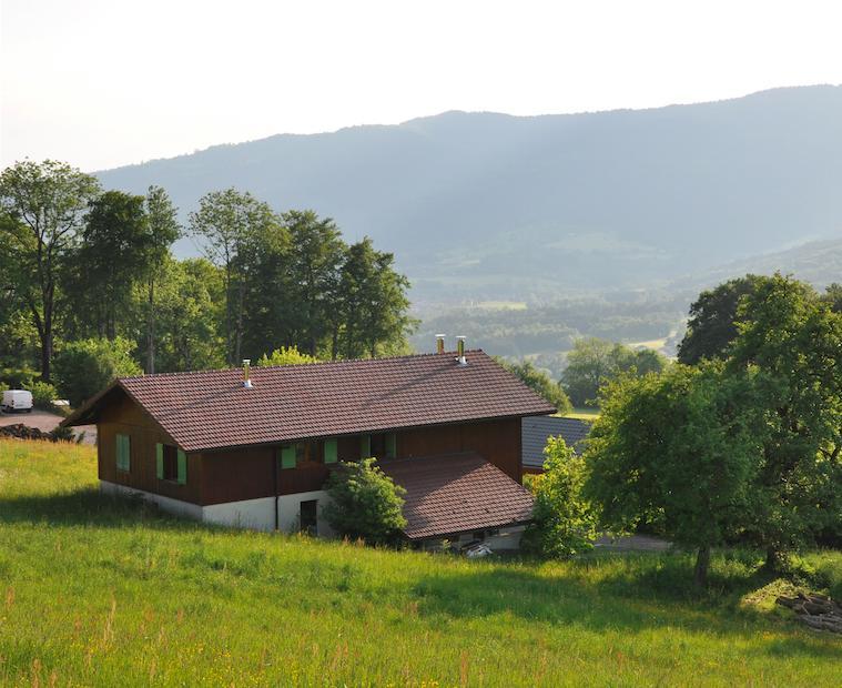 Le Green Chalet Villard-sur-Boege Exterior foto