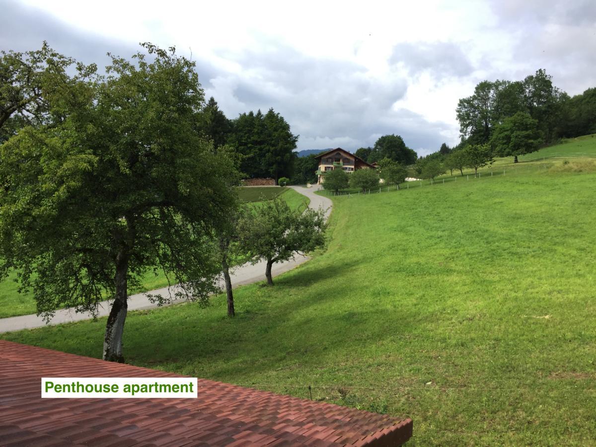 Le Green Chalet Villard-sur-Boege Exterior foto